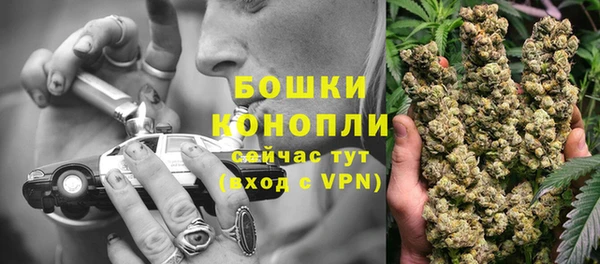 соль ск Инсар