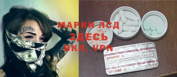 хмурый Алзамай